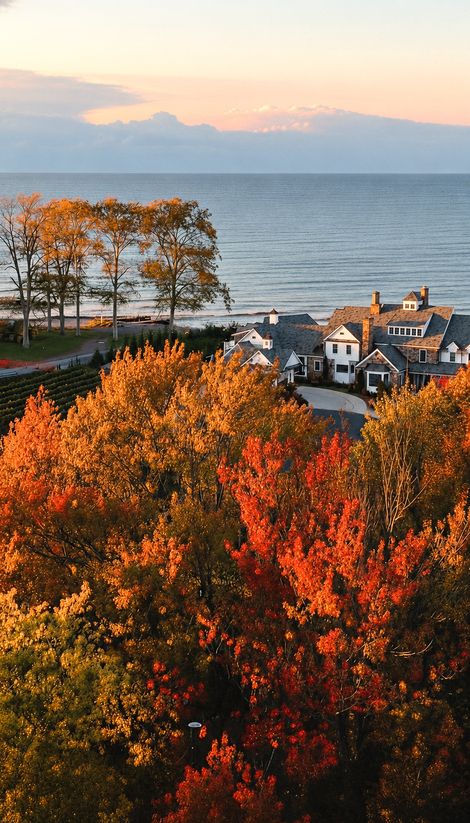Red and orange maples above the rooftops with Lake Erie behind