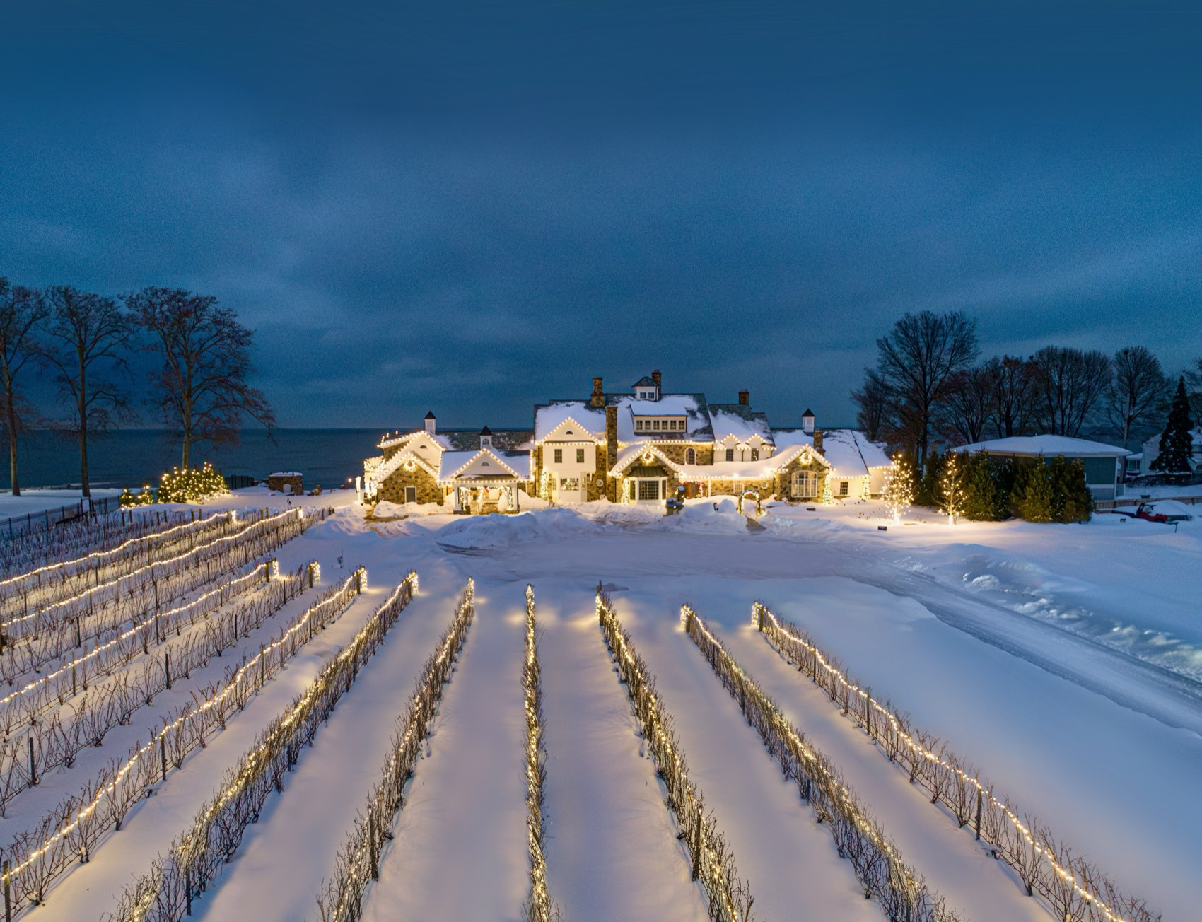 The estate and vineyard under snow