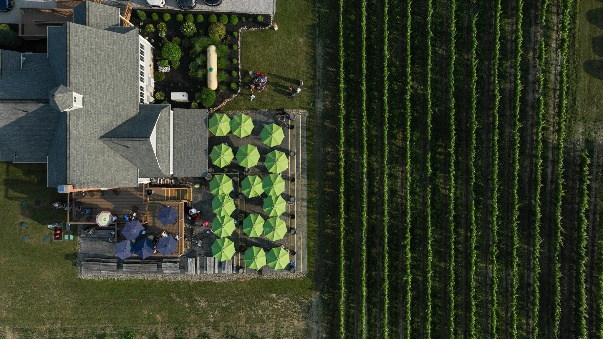 The M Cellars tasting room, terrace and vineyard from above