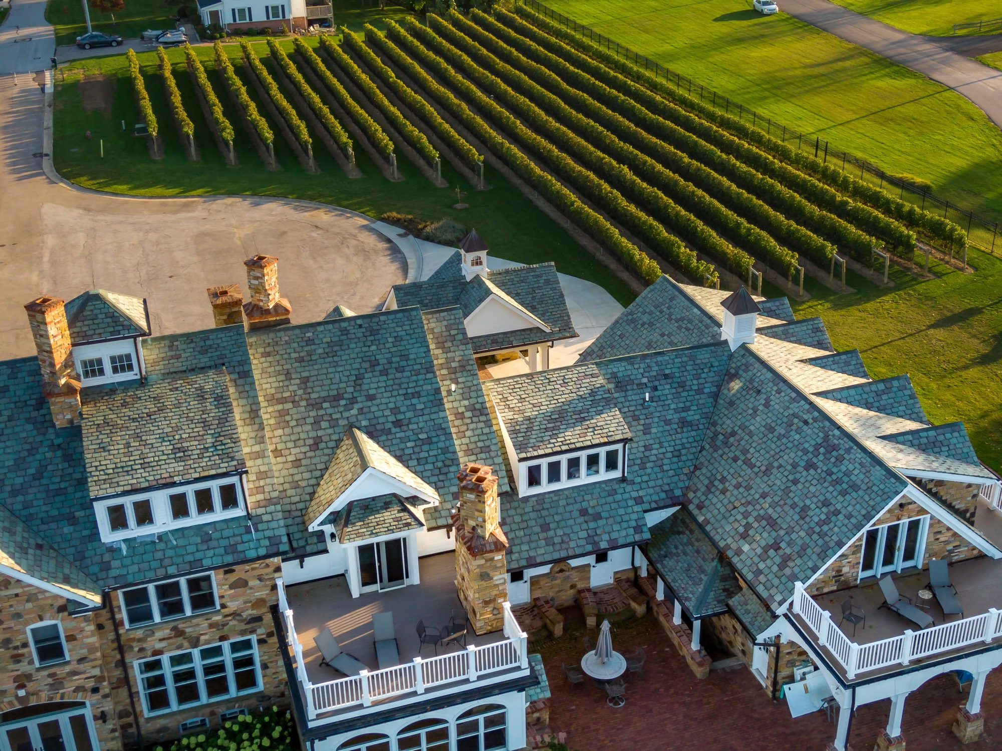 Vincent William, the vineyard and Lake Erie from the air