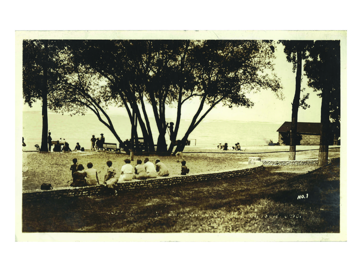 Postcard of guests under the trees above the beach