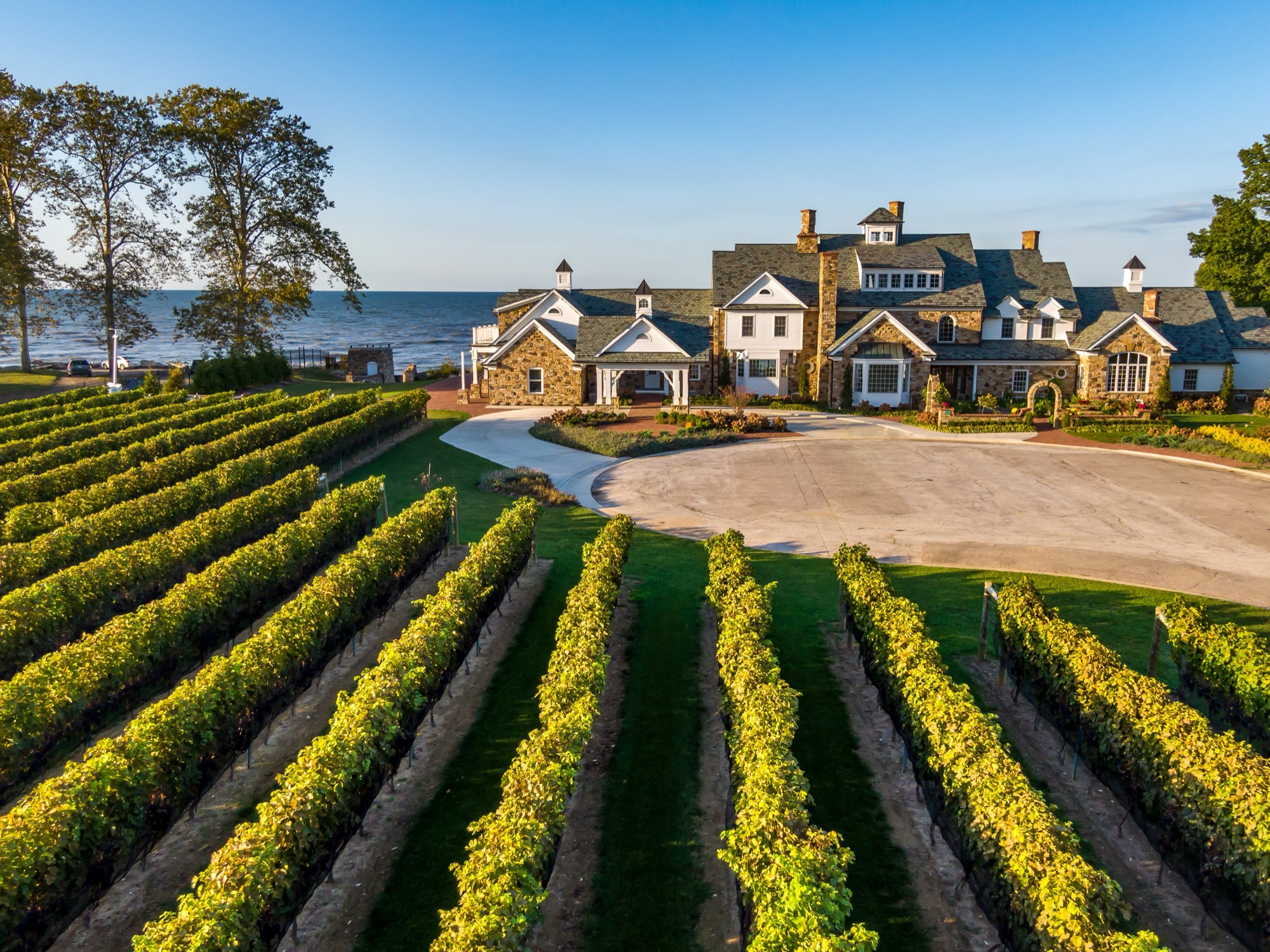 Vineyard toward the lake