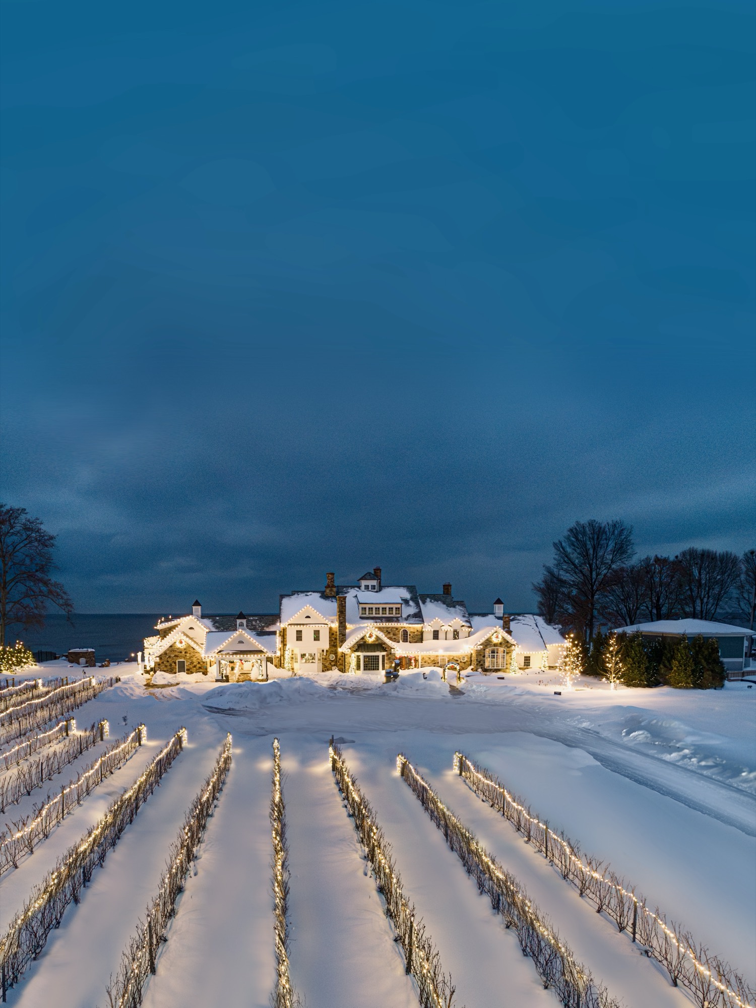 The estate at dusk in winter