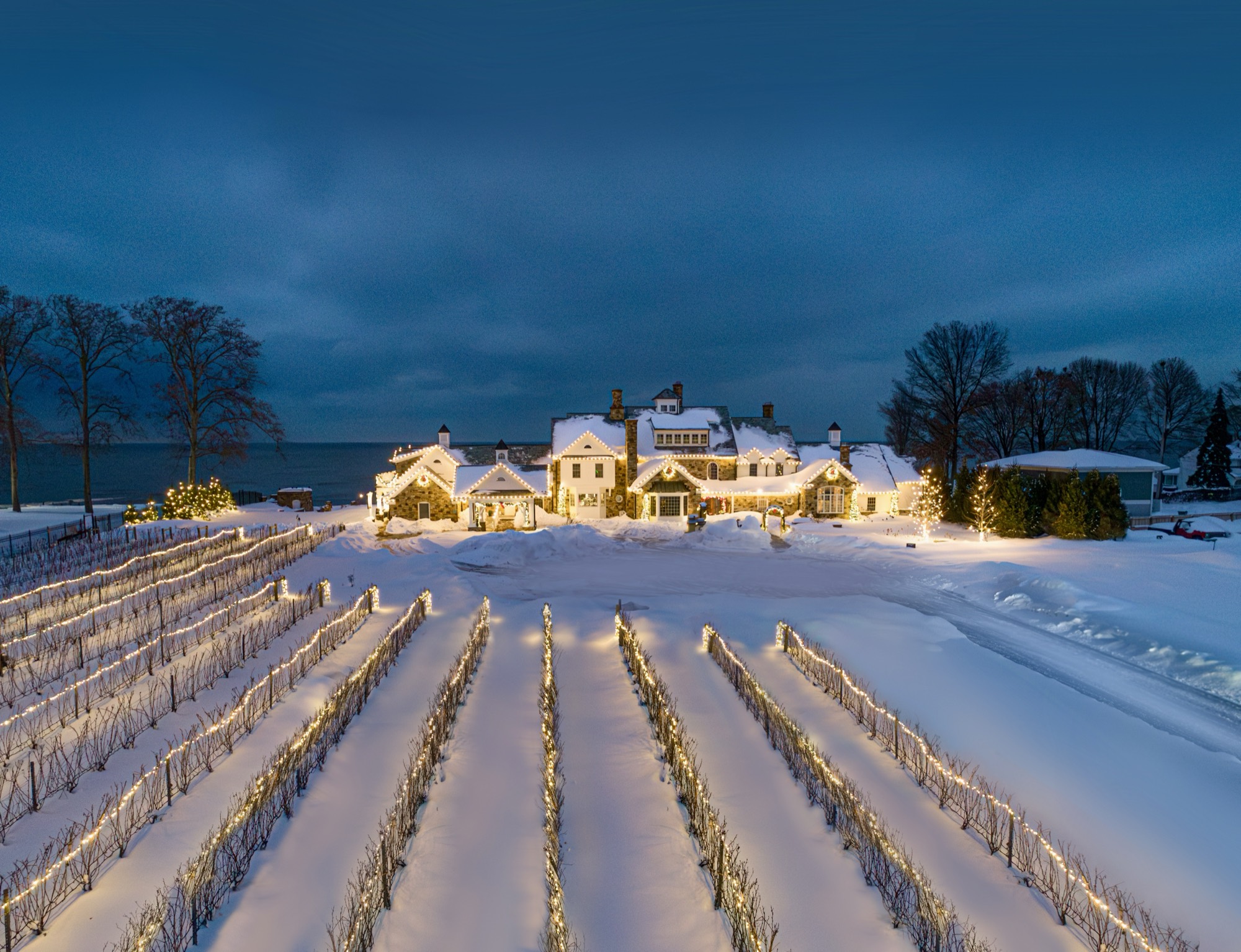 Snow over the vineyard rows in winter